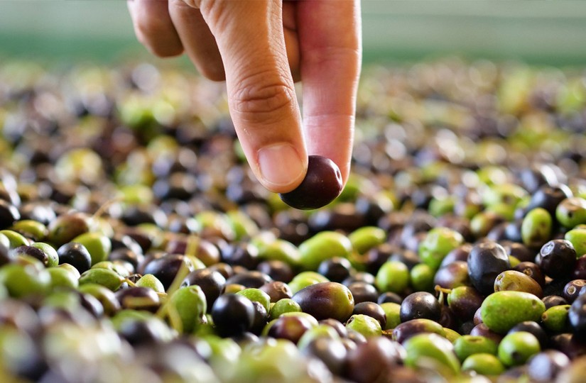 Оливковое масло натощак польза для желудка