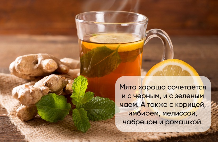 Мятный чай польза для кожи