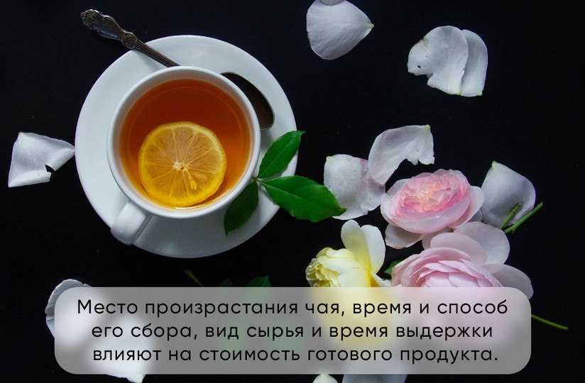 022 - Каким бывает чай: путеводитель по самым известным видам чая