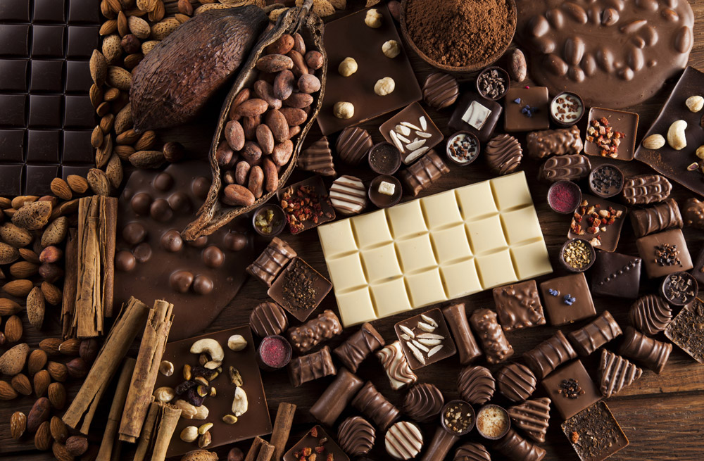 09 - Все виды шоколада в шоколадном справочнике