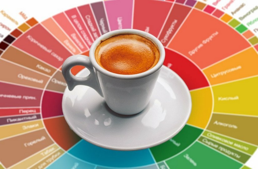 1 - Как научиться разбираться в сортах, вкусах и ароматах кофе