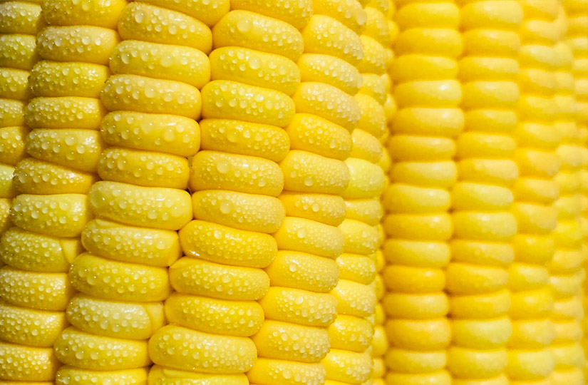Можно ли есть кукурузу консервированную во время диеты