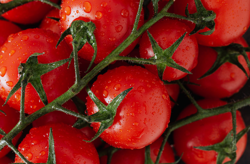 Особенности рецептов приготовления томатной пасты в домашних условиях