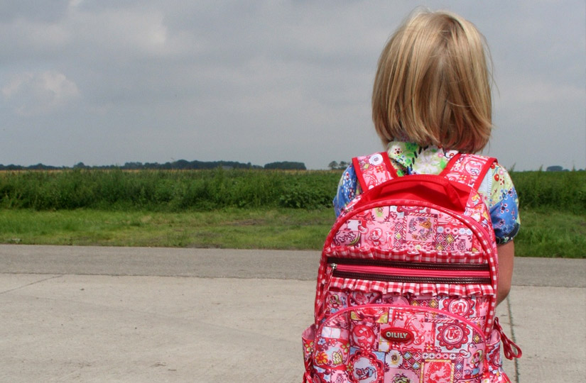 Вместо рюкзака в школу. Вместо рюкзака в школу прикол. Что можно принести в школу вместо рюкзака. Что можно принести в школу заместо рюкзака.