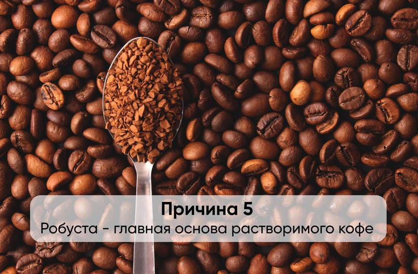 6 - Робуста или арабика - какой кофе вкуснее