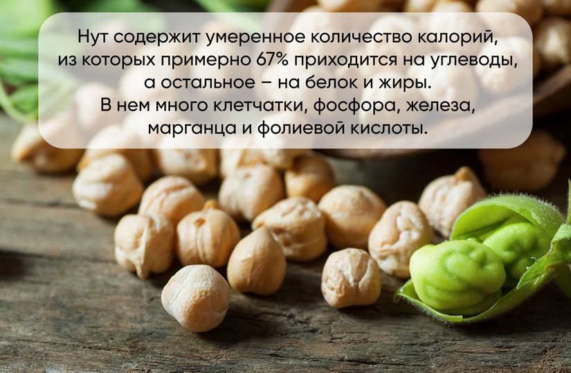 Нут: польза и вред, калорийность, история и рецепты с турецким горохом на  Tea.ru